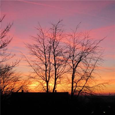 可以上下分捕鱼app下载手机版